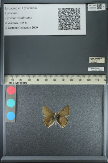 Media type: image;   Entomology 183803